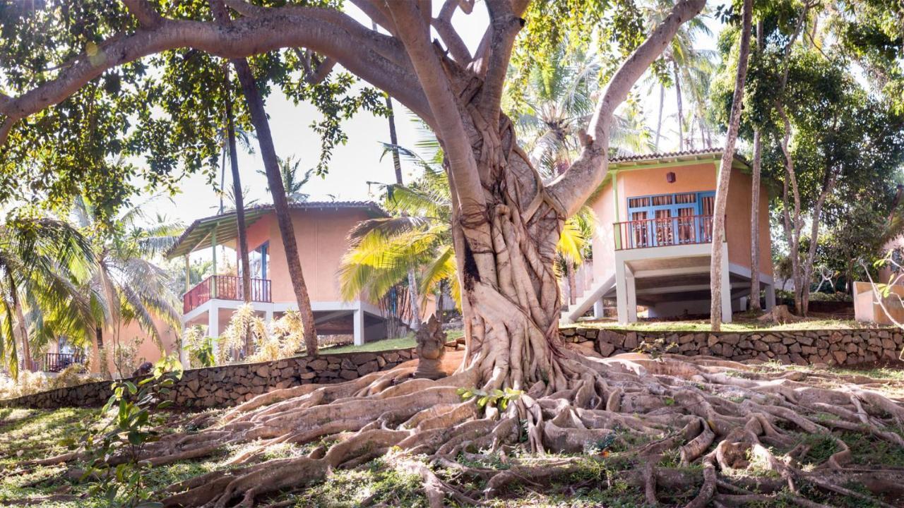 Palace Mirissa Extérieur photo